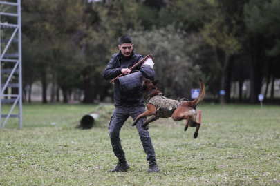 Askerlerin can yoldaşları nefes kesen eğitimlerden geçiyor