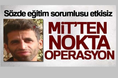 MİT'ten nokta operasyon