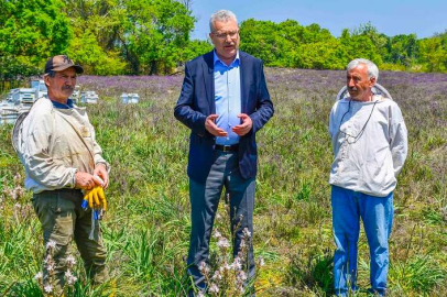 Karacabey’de Longoz ormanlarında görsel şölen