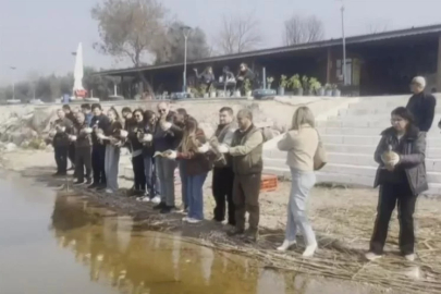 Bursa'da tedavisi tamamlanan ördekler doğaya salındı