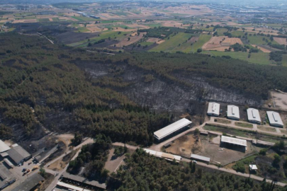 Bursa'da üniversitenin küle dönen çamla kaplı ormanı böyle görüntülendi