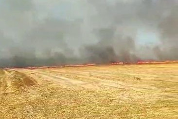 Silivri'de otluk alanda çıkan yangın büyük paniğe neden oldu