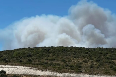 İzmir Çeşme'de orman yangını: 3 ölü