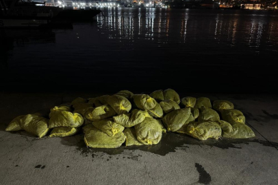 Beyoğlu'nda 1,5 ton kaçak midye ele geçirildi