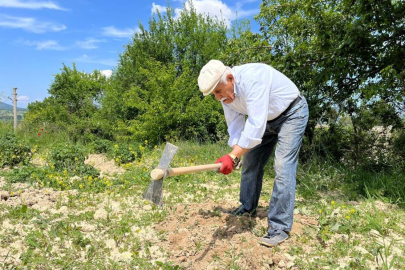 80 yaşında tarlada gençlere taş çıkartıyor: "Çalışmadan duramıyorum"