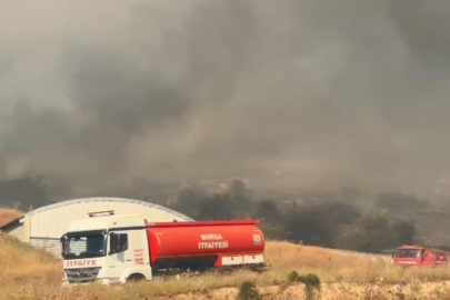 Bursa'da orman yangını