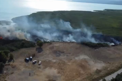 İznik Gölü'nde sazlık yangını