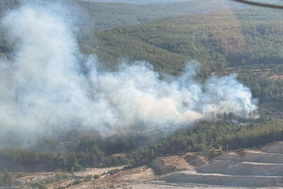 Milas’ta orman yangını