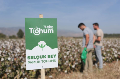 Hektaş'ın hedefi tohumda bağımsızlık