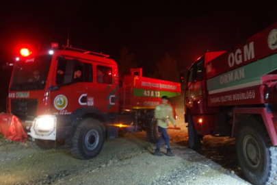 Kütahya - Bursa sınırında çıkan orman yangını söndürüldü