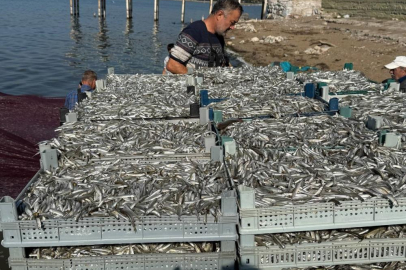 İznik Gölü'nde tarihi balık rekoru