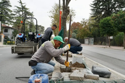 Fevzipaşa Caddesi'ne yeni dokunuş