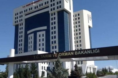 Tarım ve Orman Bakanlığından “33 soruda planlı üretim” rehberi