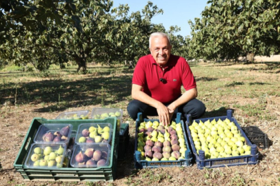 Şadi Başkan'dan çiftçiye kooperatif desteği