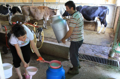 Çiğ sütte üreticinin eline 16 lira 40 kuruş geçecek